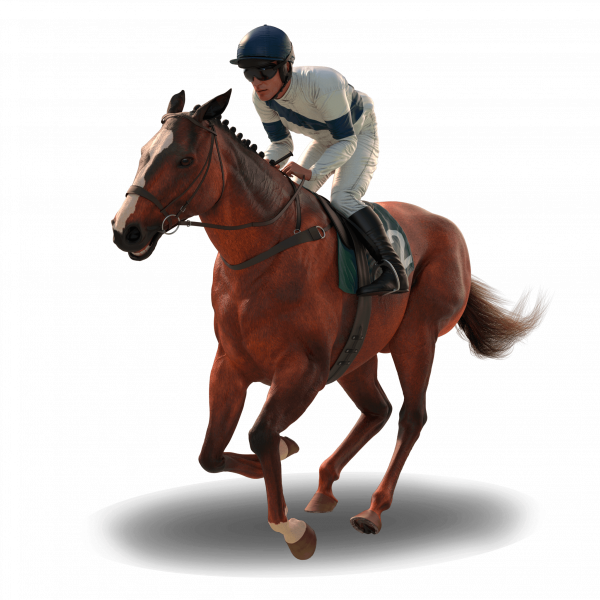 horse-gallop-shadow (2)